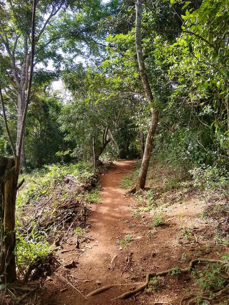 Senderos Colón hiking area in San Isidro de Heredia, HD