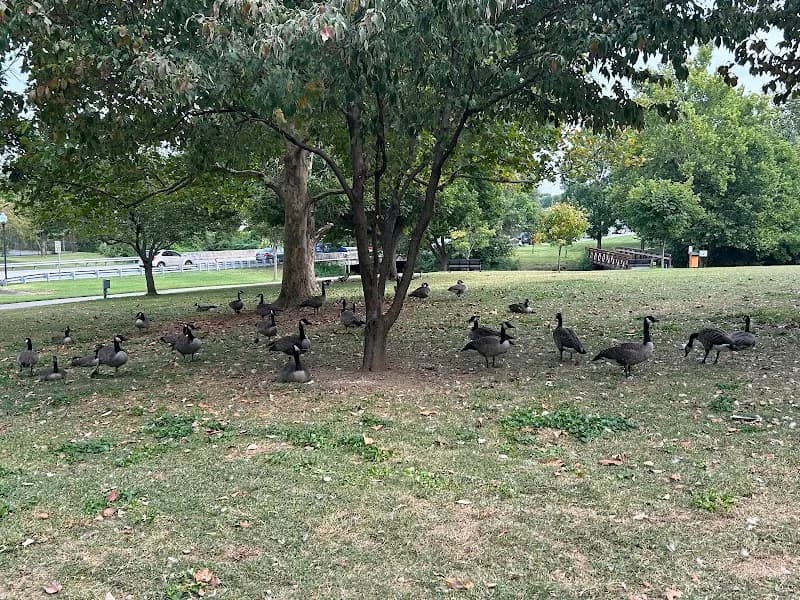 View of Seneca Park in Louisville, KY