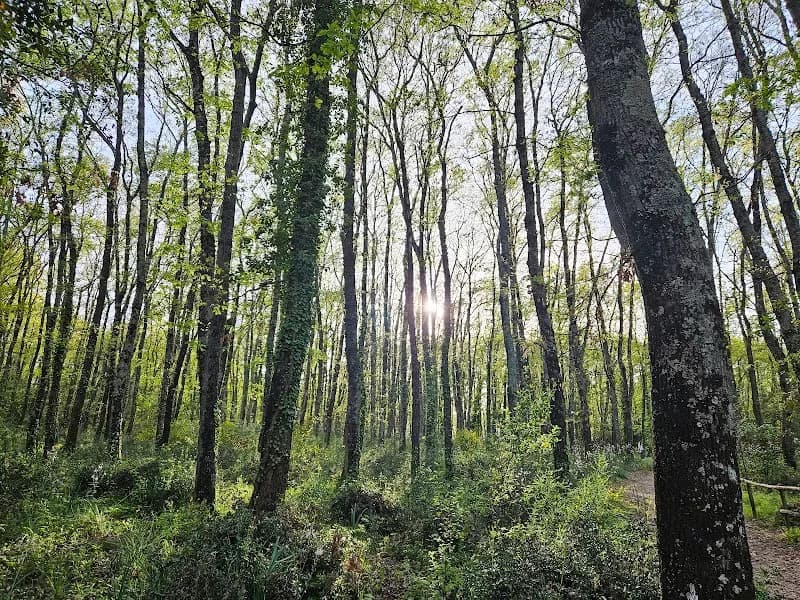 Sentiero Bosco di San Celso tourist attraction in Bracciano, Lazio