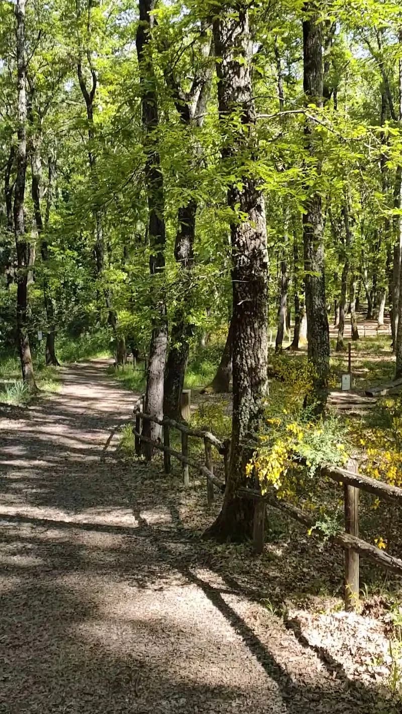 View of Sentiero Bosco di San Celso in Bracciano, Lazio