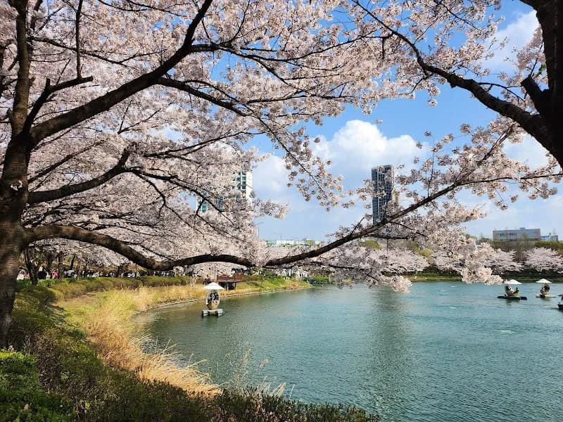 Seokchon Lake Park park in Seoul, SEL