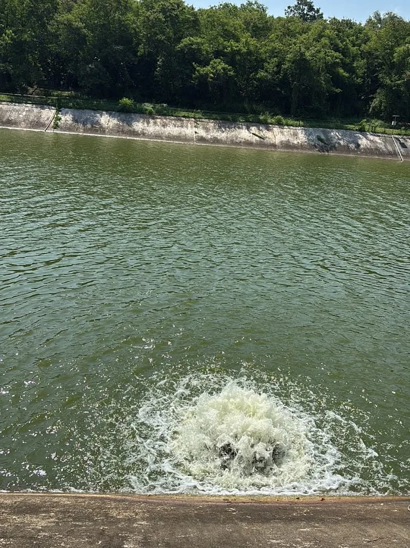 View of Serangoon PCN in Serangoon, SG