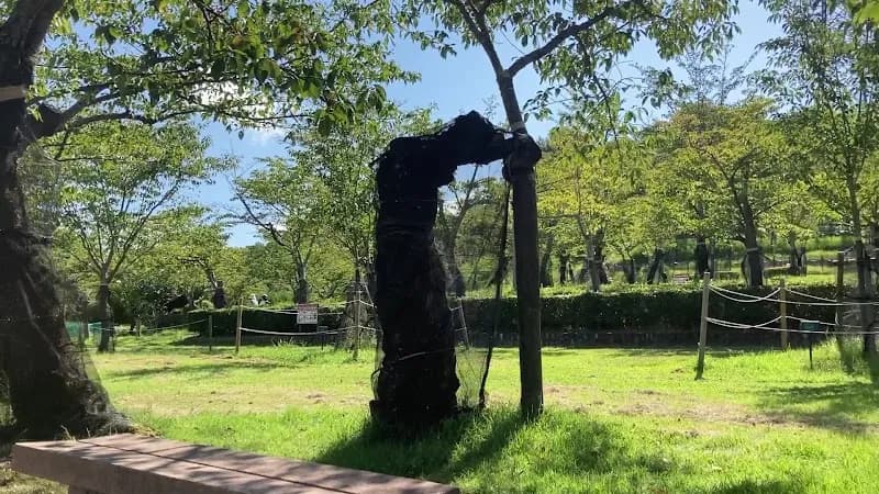 View of Settsukyo Park in Settsu, Osaka