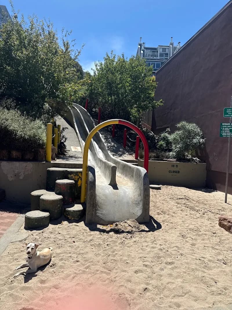 View of Seward Park Concrete Slides in San Francisco, CA