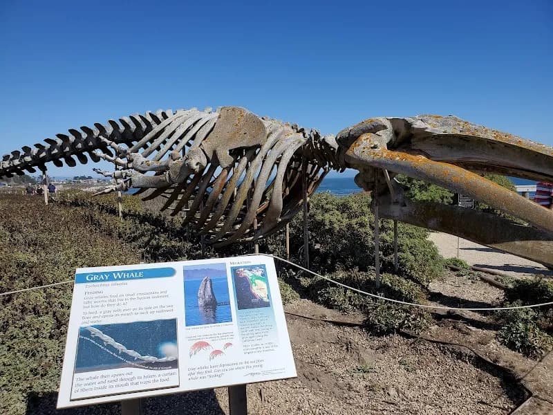 View of Seymour Marine Discovery Center in Santa Cruz, CA