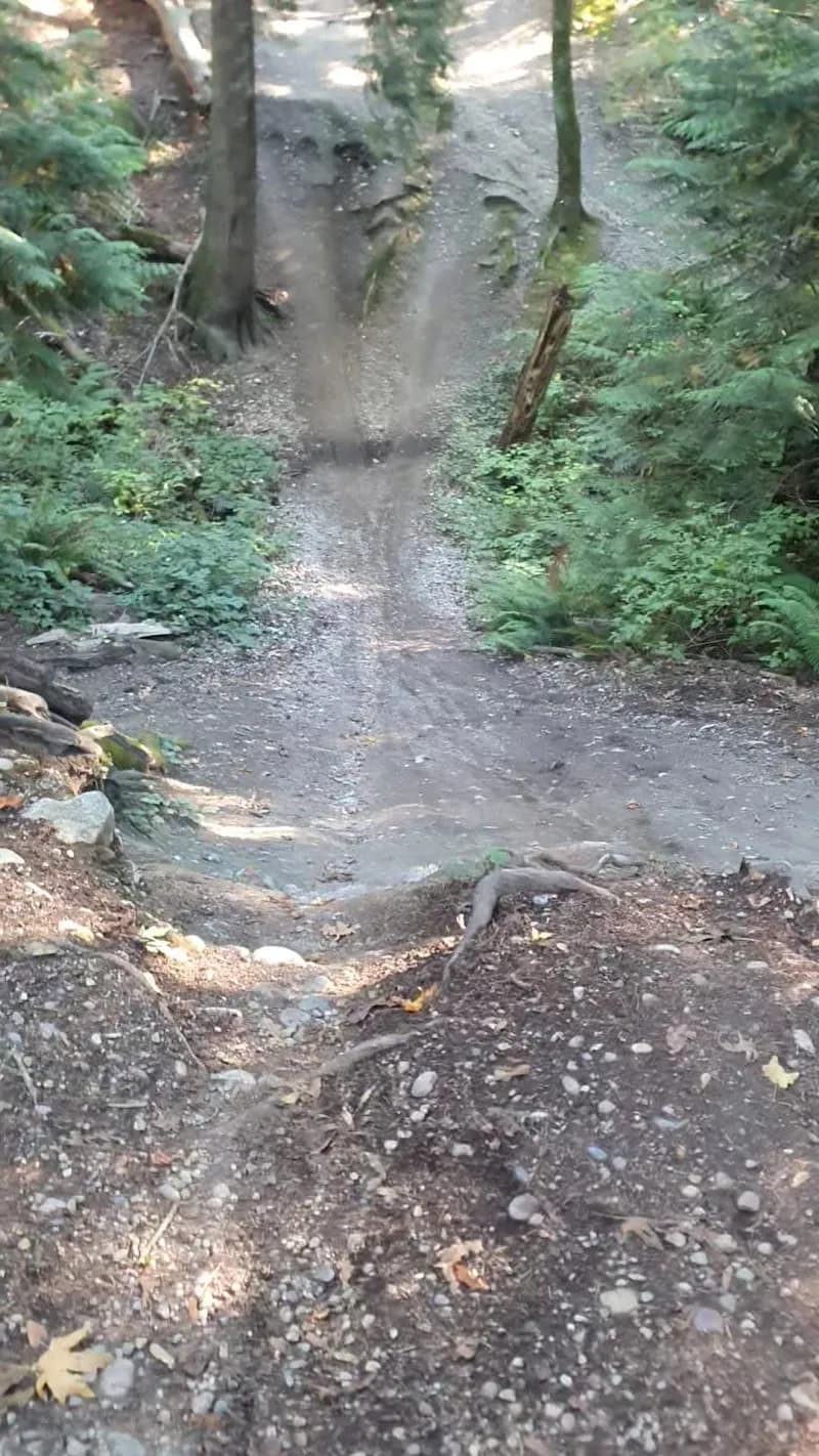 View of SFU Burnaby Campus - Simon Fraser University Hiking Trails in Burnaby, BC