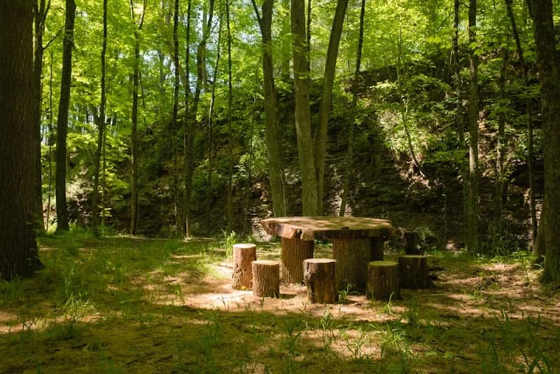 View of Shale Hollow Park in Delaware, OH
