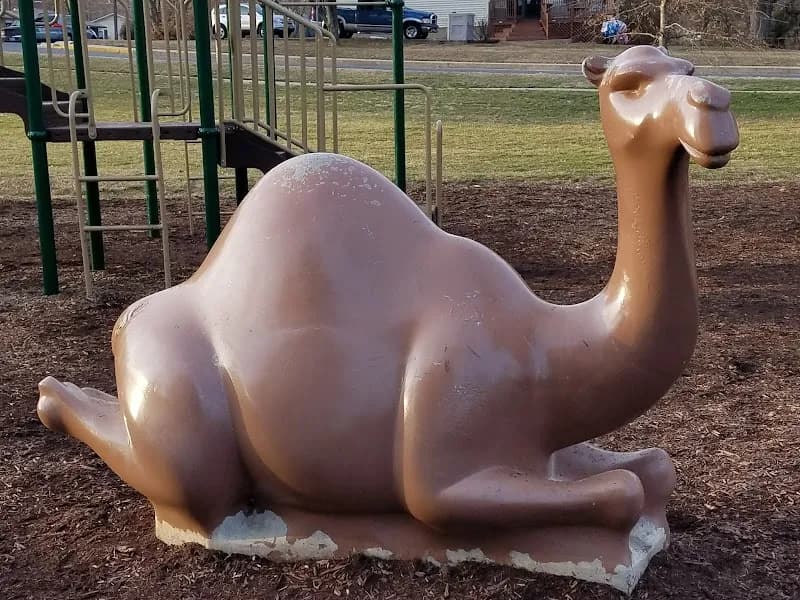 View of Shamrock Park in Bel Air, MD