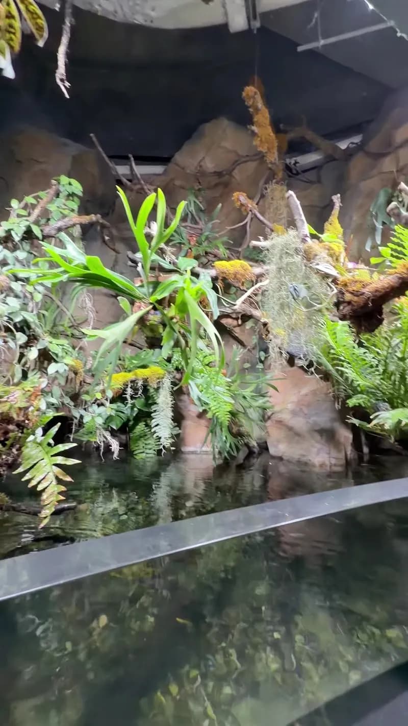 View of Shanghai Expo Park in Pudong New Area, SH