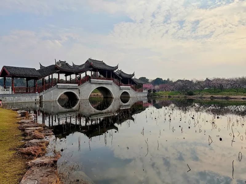 Shanghai Haiwan National Forest Park park in Fengxian, SH