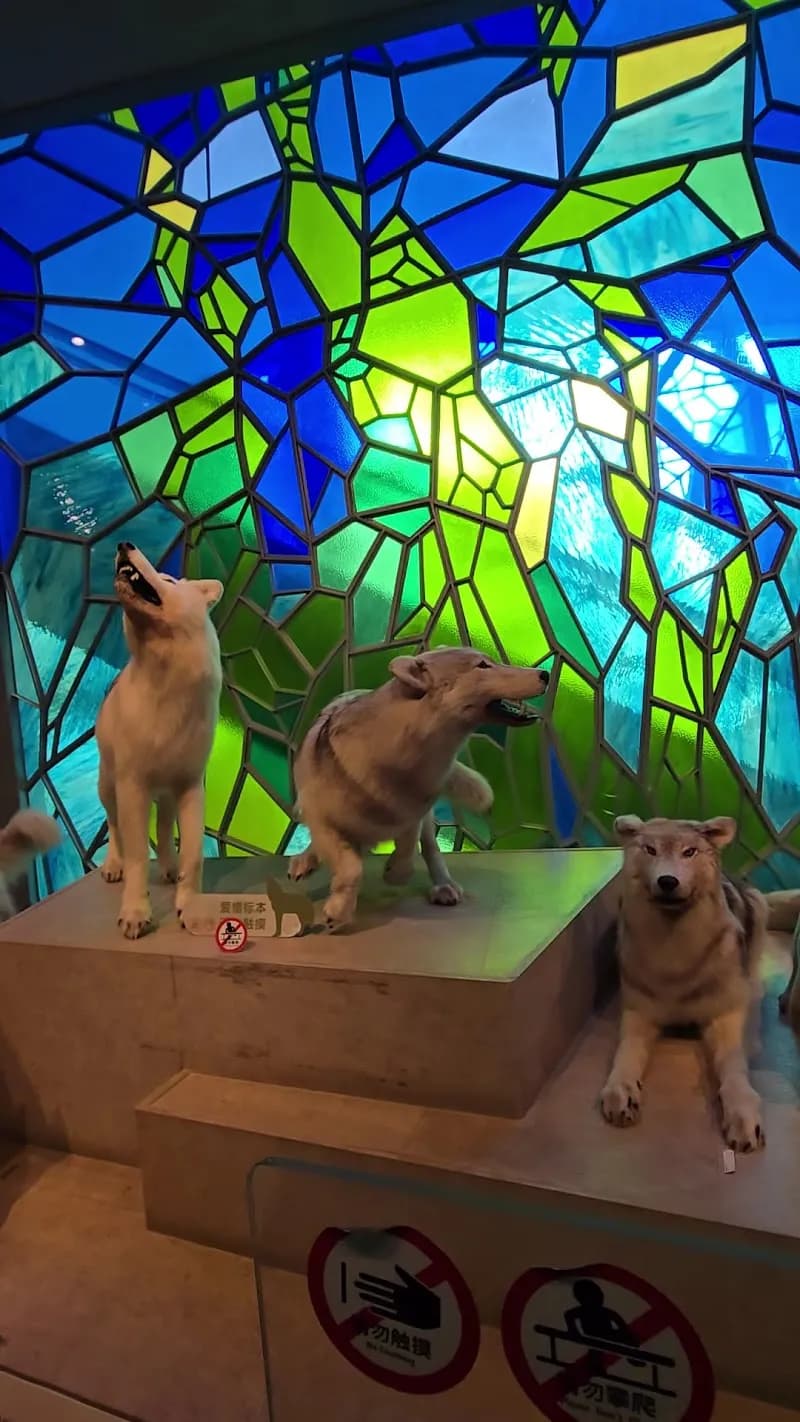 View of Shanghai Natural History Museum. in Shanghai, SH