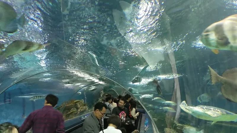 View of Shanghai Ocean Aquarium in Shanghai, SH