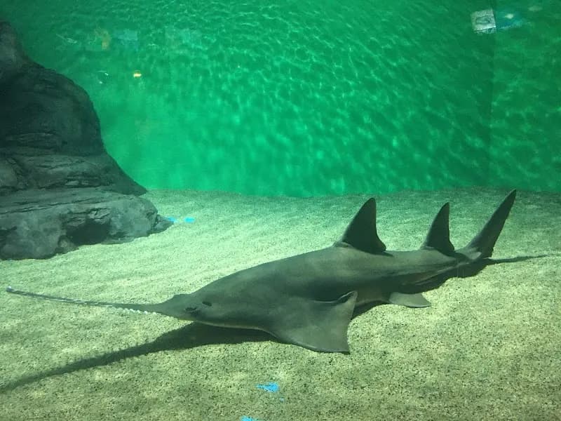 View of Shanghai Ocean Aquarium in Shanghai, SH