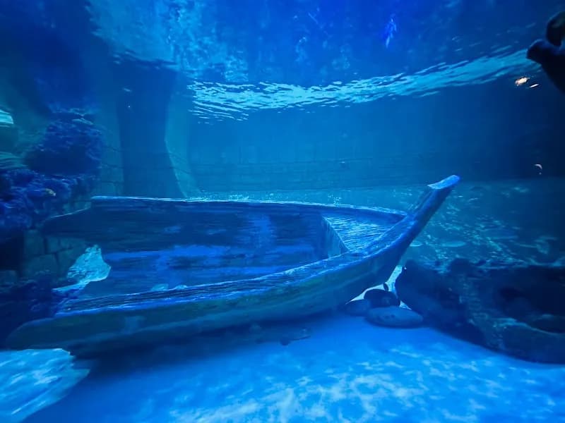 View of Sharjah Aquarium in Sharjah (Al Qasba), Dubai