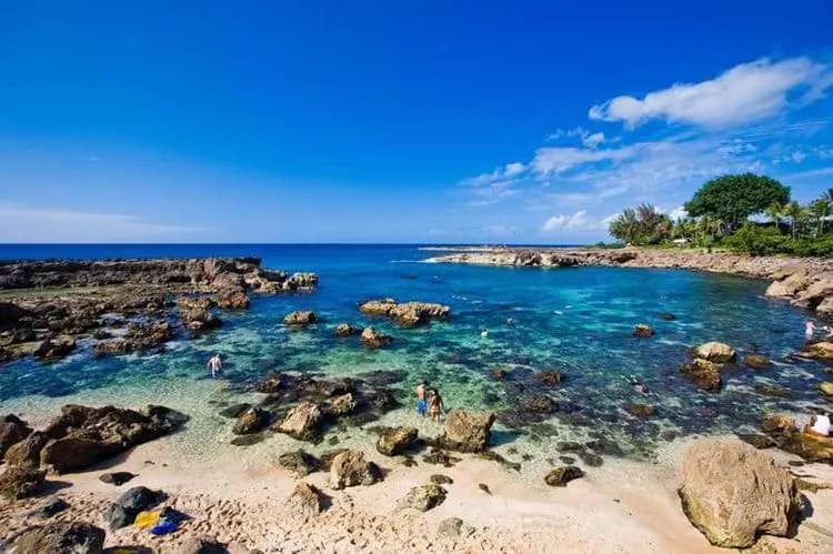 Shark’s Cove beach in Haleiwa, HI