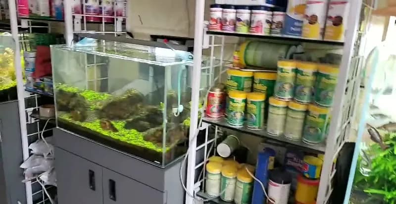 View of Sharma Aquarium in Borivali, MH