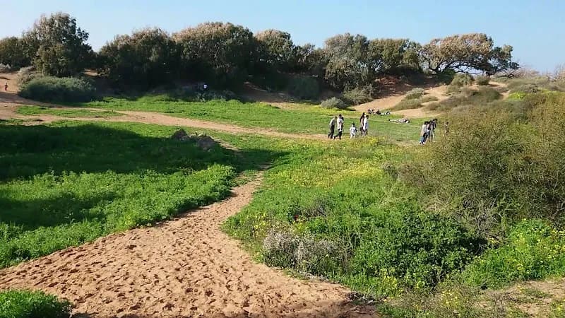 View of Sharon Reserve in Ramat Hasharon, TA