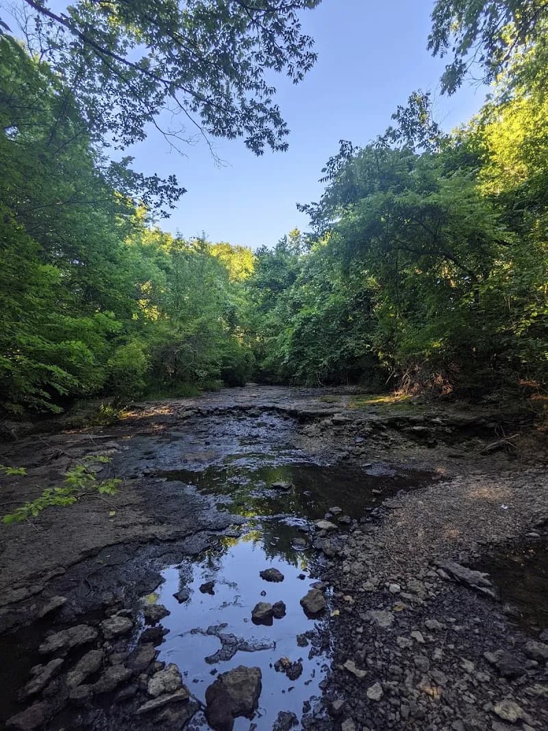 View of Shawnee Trace Nature Trail in Lee's Summit, MO