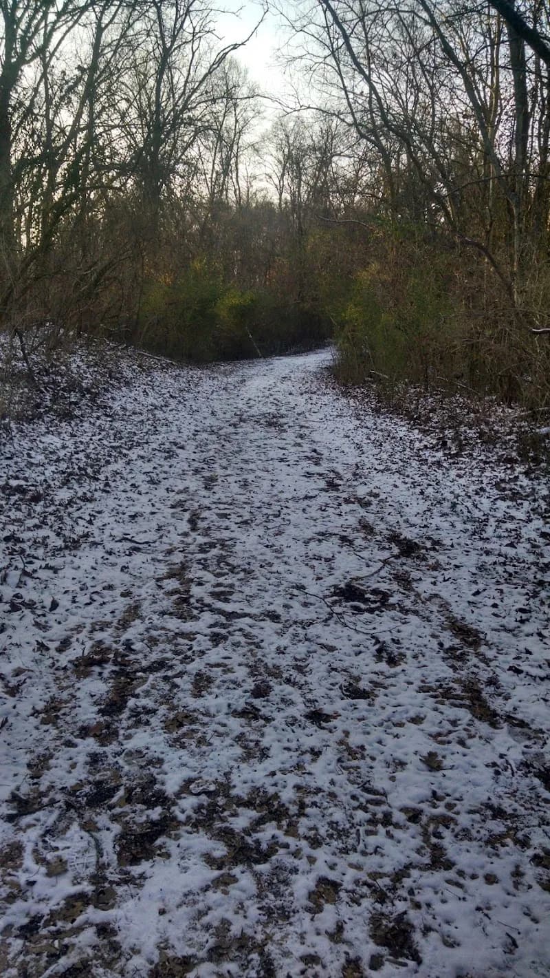 View of Shelby Bottoms Greenway in Nashville, TN