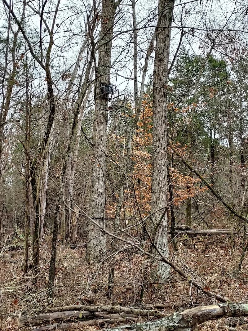 Shelby Trails Park hiking area in Shelbyville, KY