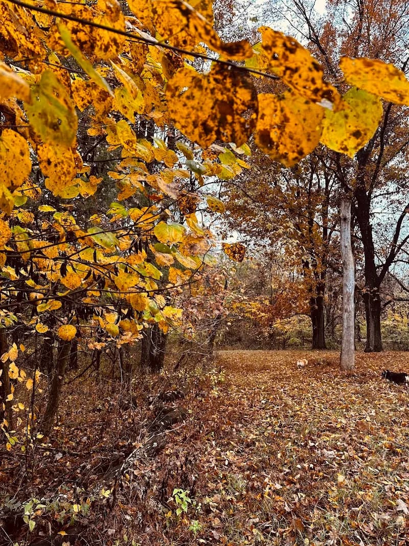 View of Shelby Trails Park in Shelbyville, KY