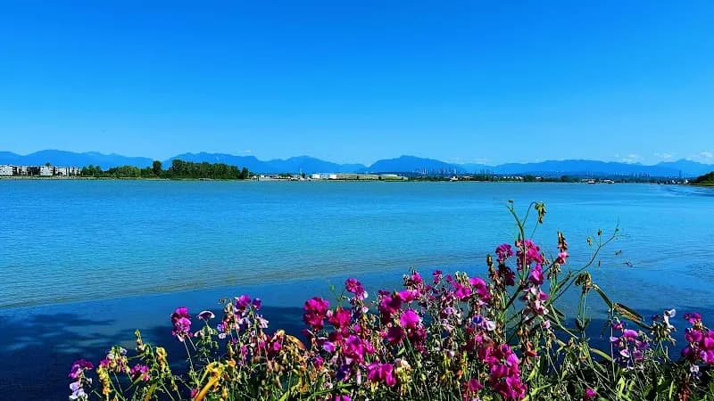 View of Shelter Island Park in South Delta, BC