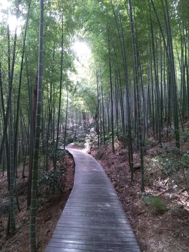 View of Sheshan Water Park in Sheshan, SH