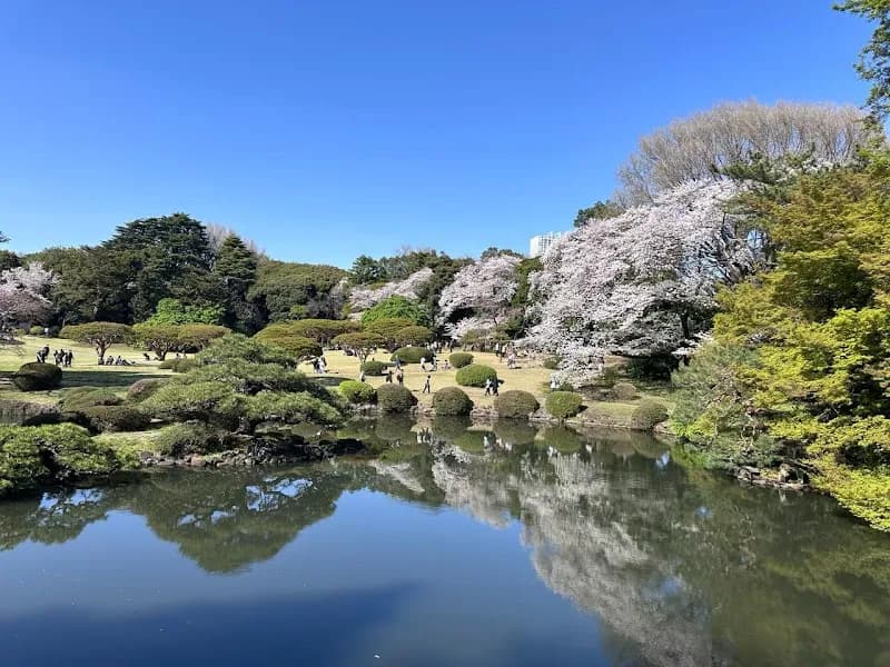 View of Shinjuku Gyoen National Garden in Tokyo, TK