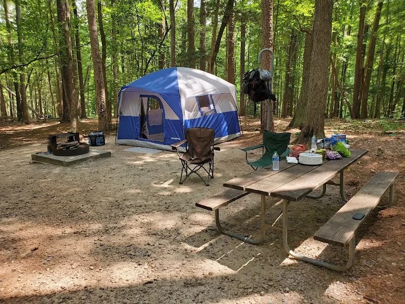 View of Shinleaf Group Campsites in Falls Lake, NC