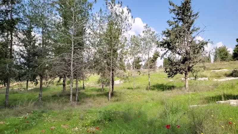View of Shoham Forest Park in Holon, TA