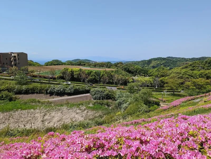 Shonan Village Green Park park in Fujisawa, Kanagawa
