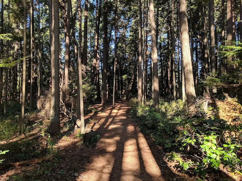 View of Shoreview Park in Shoreline, WA
