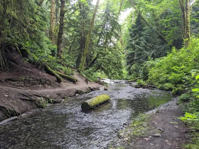 View of Shoreview Park in Shoreline, WA