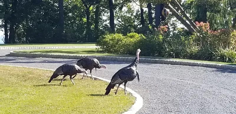 Shorewood Recreation & Community Services community center in Shorewood, WI