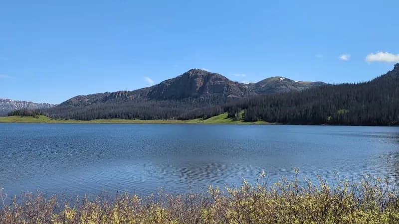 View of Shoshone National Forest in Cody, WY