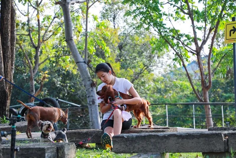 View of Siangpure Park เซียงเพียว พาร์ค in Bangkapi, BKK