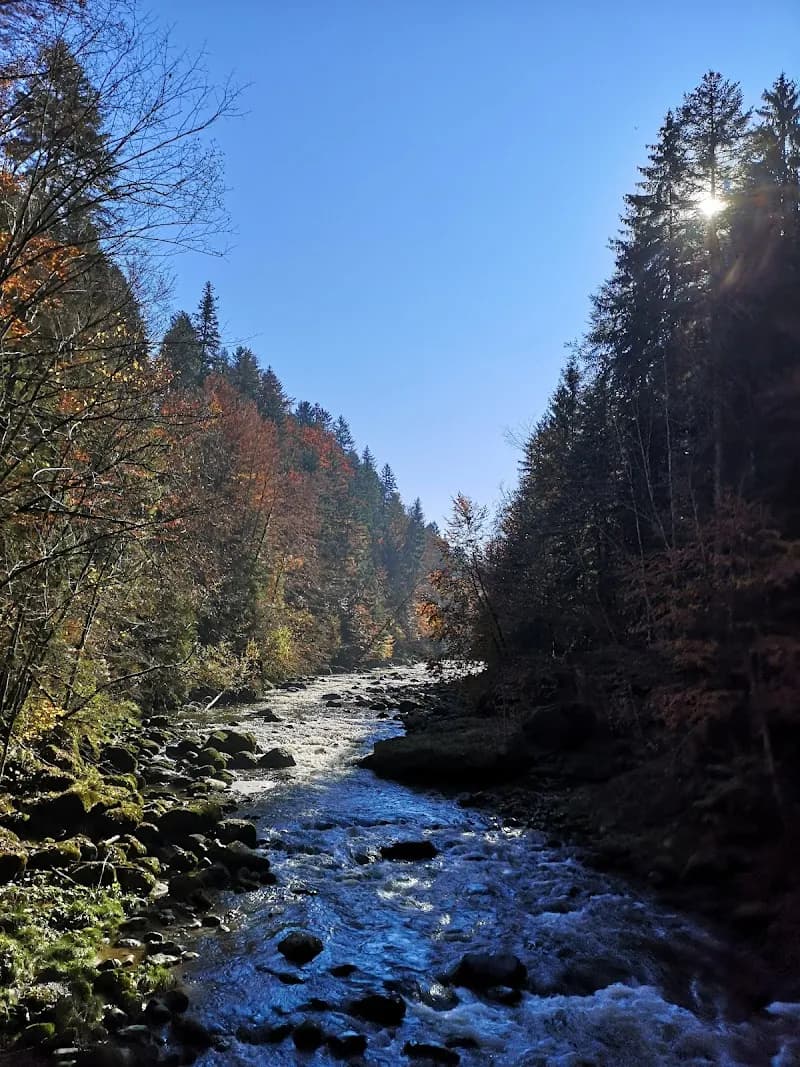 View of Sihlwald in Horgen, ZH
