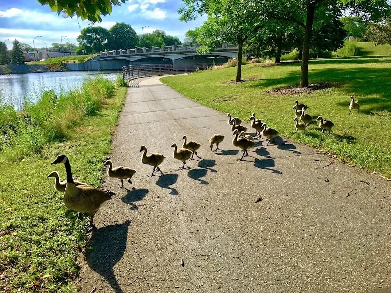 View of Silver Lake Park in Rochester, MN