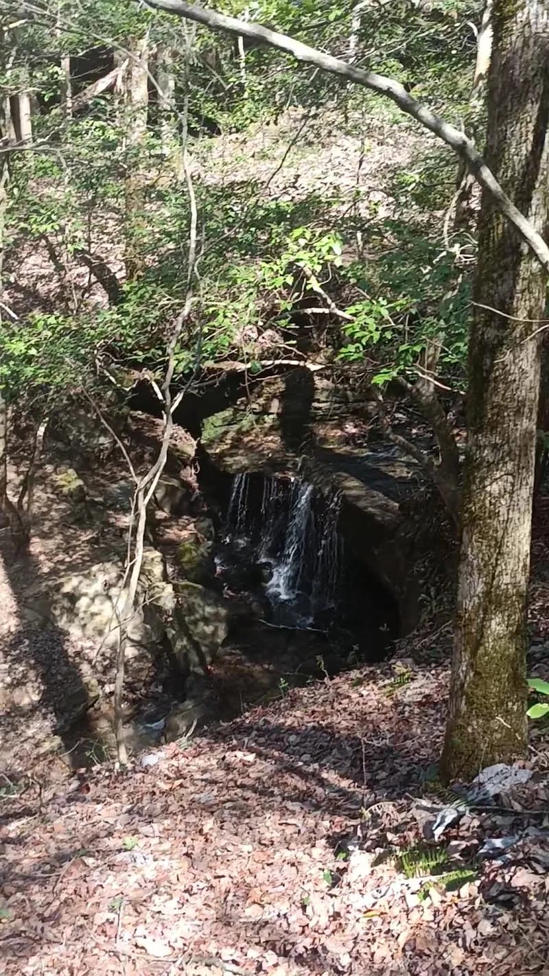 View of Sipsey River Picnic Area in Double Springs, AL