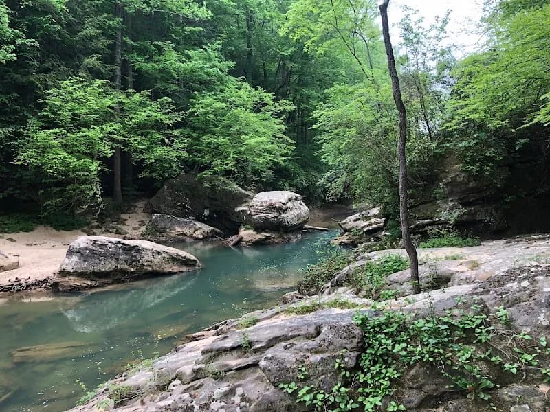 View of Sipsey River Picnic Area in Double Springs, AL