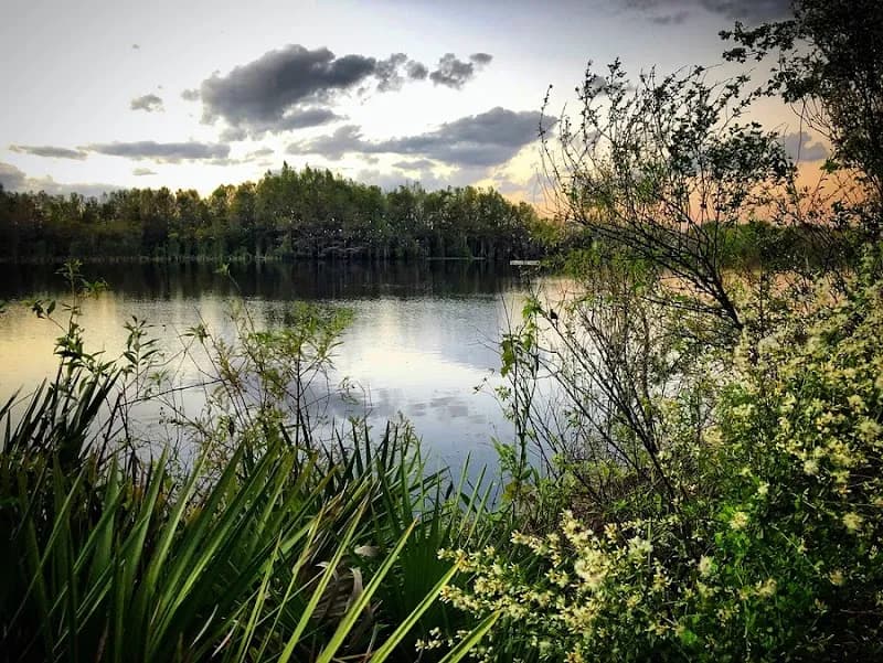 View of Six Mile Cypress Slough Preserve in Fort Myers, FL
