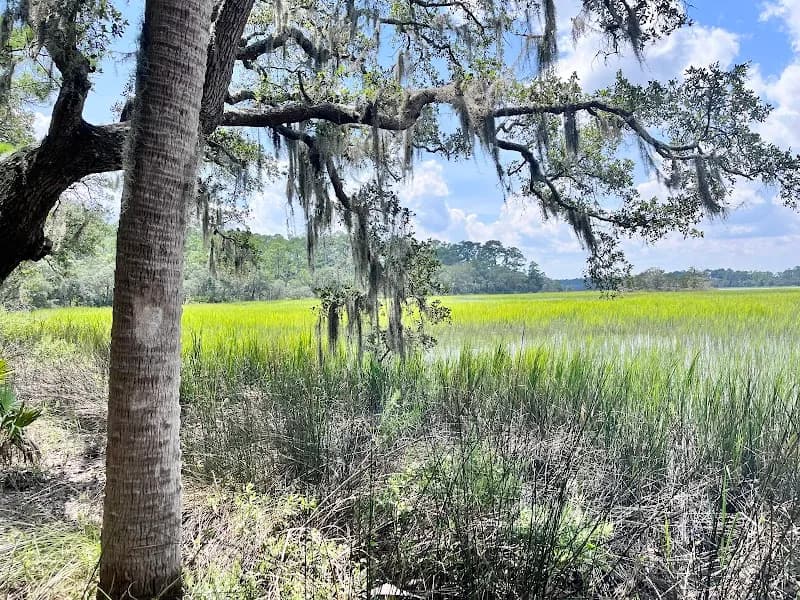View of Skidaway Island State Park in Savannah, GA