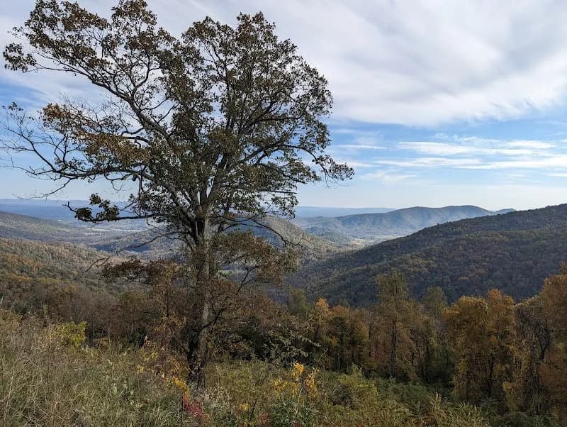 View of Skyline Drive in Charlottesville, VA