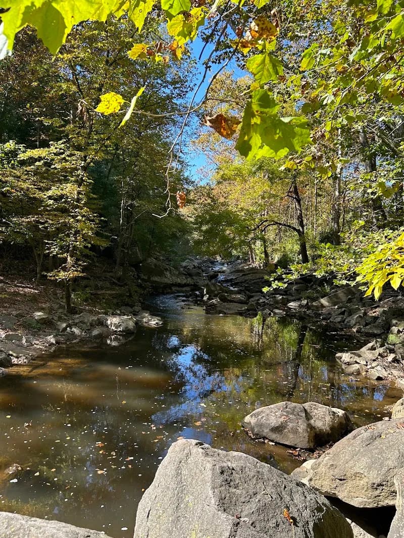 View of Sligo Creek Trail in Takoma Park, MD