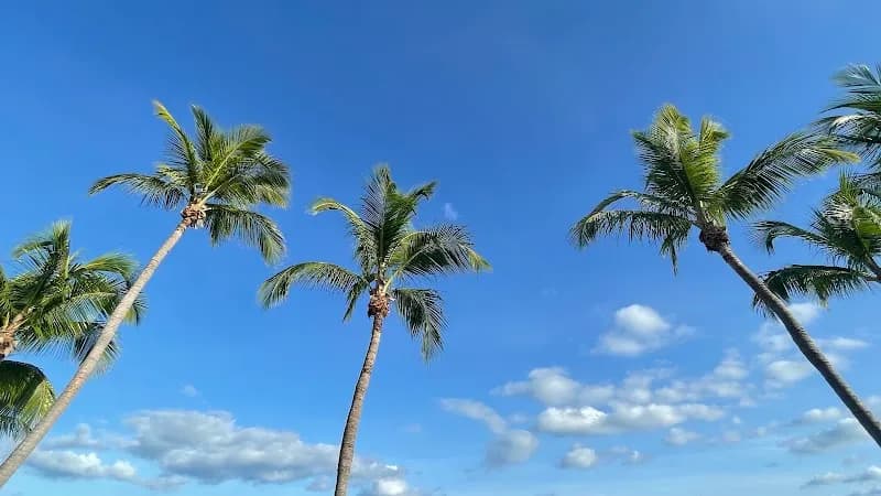 View of Smathers Beach in Key West, FL