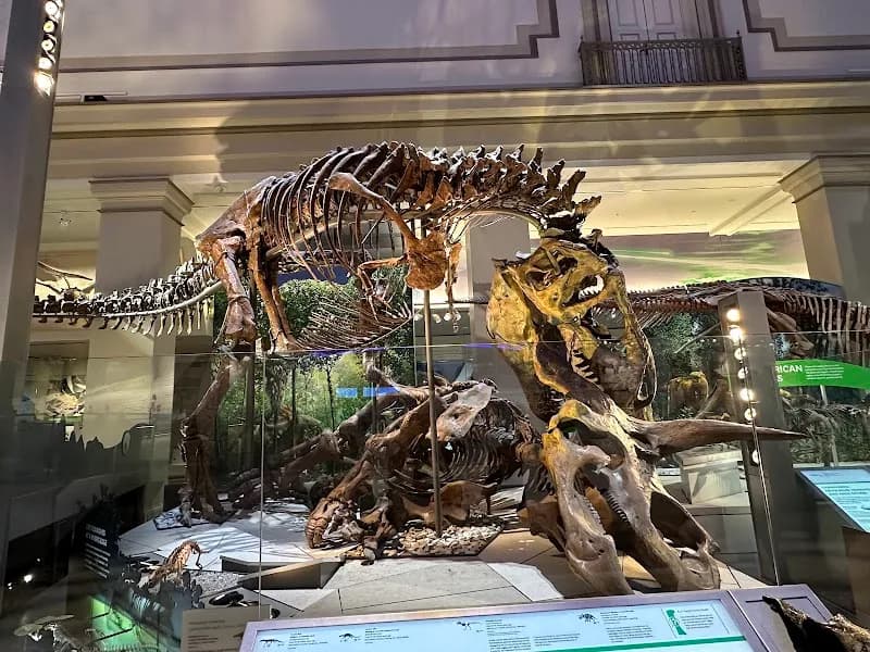 View of Smithsonian National Museum of Natural History in Washington DC, DC