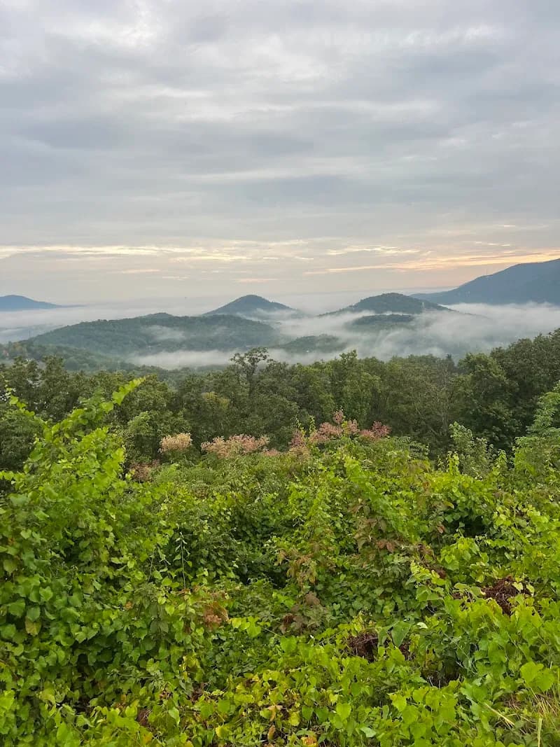 Smoky Mountain Adventure Tours tour agency in Knoxville, TN