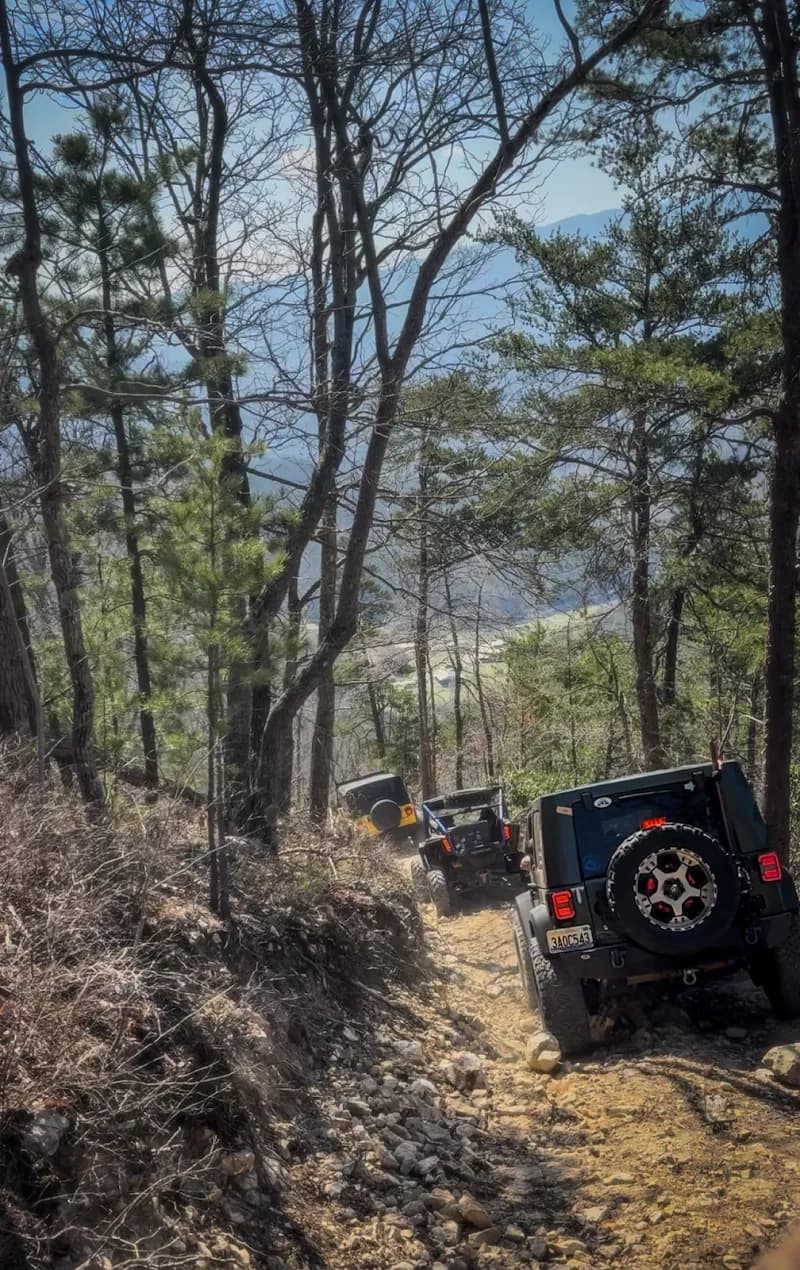 View of Smoky Mountain Adventure Tours in Knoxville, TN