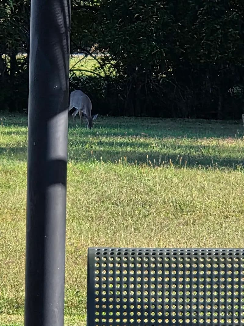 View of Smyrna Greenway Trail Parking in Smyrna, TN