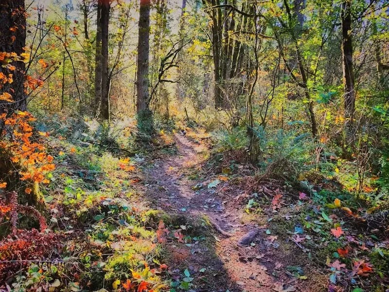 View of Soaring Eagle Regional Park in Sammamish, WA